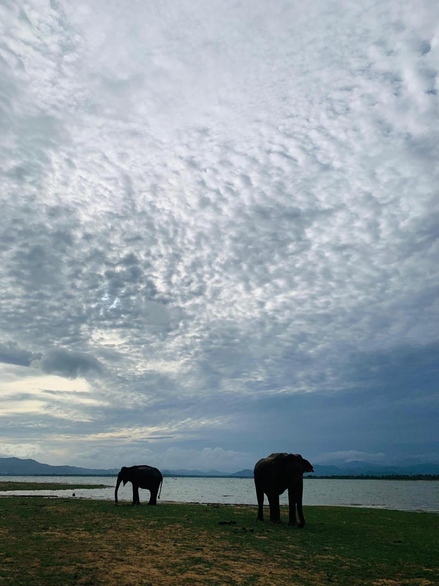Golden Pearl Safari Villa อุดาวาลาเว ภายนอก รูปภาพ